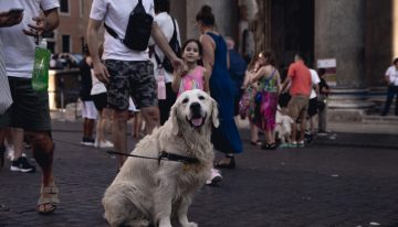 En su lucha contra el turismo masivo, Italia ha entrado en un terreno inexplorado: un impuesto a los perros de los turistas