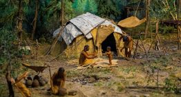 Son nuestras costumbres y hay que respetarlas: las élites españolas llevan 3200 años practicando el noble arte de la endogamia