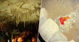 Alguien olvidó una bolsa de cheetos en la cámara de cueva más grande de EEUU. El problema es el caos al ecosistema que viene después