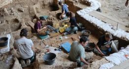 Descubiertos en Guadalajara los caballos más antiguos del linaje ibérico: así se diferencian genéticamente del resto