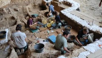 Descubiertos en Guadalajara los caballos más antiguos del linaje ibérico: así se diferencian genéticamente del resto