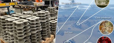 Los muros contra huracanes ya no funcionan y DARPA tiene la solución: una muralla de ostras y corales 