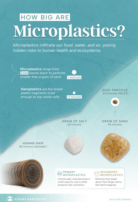 Microplasticos