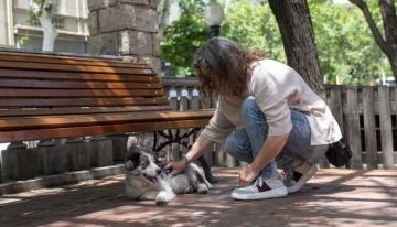 Una veterinaria revela el mejor método para detectar problemas de salud en tu mascota: «Para que te quedes tranquilo»