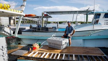 Redadas en el mar y aranceles para dejar los barcos langosteros de los Cayos de Florida sin tripulación y al borde del colapso