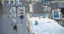 España lidera las infecciones en UE por cándida auris, un hongo resistente que se contagia en hospitales