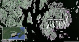 El satélite NISAR de NASA e India envía las primeras imágenes de la superficie terrestre