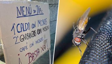 Un pueblo de Galicia ha salido a la calle por un problema peculiar: una plaga de moscas que nadie consigue frenar