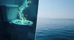 Estamos atascando el inodoro de carbono del océano y es algo que solo nos va a traer problemas