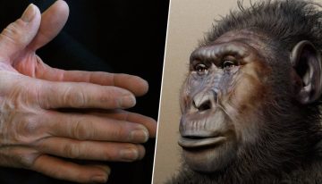 La arqueología ha descubierto algo impactante en Kenia: las manos de los humanos llegaron antes que los seres humanos