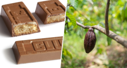 El precio del chocolate está subiendo tanto que las chocolatinas que están dejando de ser, legalmente, chocolatinas El precio del chocolate está subiendo tanto que las chocolatinas que están dejando de ser, legalmente, chocolatinas