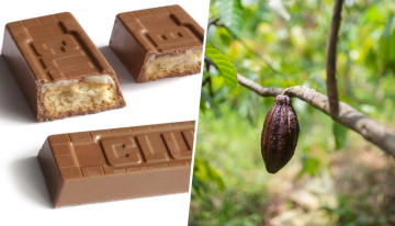 El precio del chocolate está subiendo tanto que las chocolatinas que están dejando de ser, legalmente, chocolatinas
