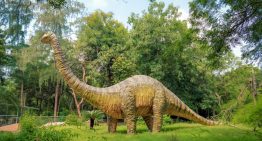 Pensábamos que los dinosaurios estaban al borde de la extinción antes del meteorito. Nos equivocábamos Pensábamos que los dinosaurios estaban al borde de la extinción antes del meteorito. Nos equivocábamos