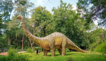 Pensábamos que los dinosaurios estaban al borde de la extinción antes del meteorito. Nos equivocábamos