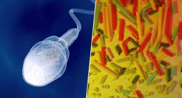 Si queremos tener más hijos, un investigador tiene claro qué hacer: limpiar nuestras eyaculaciones de microplásticos Si queremos tener más hijos, un investigador tiene claro qué hacer: limpiar nuestras eyaculaciones de microplásticos