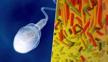 Si queremos tener más hijos, un investigador tiene claro qué hacer: limpiar nuestras eyaculaciones de microplásticos