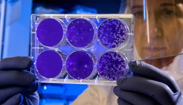 Hemos descubierto el 'botón' que usan las bacterias para escapar de los virus: es la clave para acabar con las superbacterias