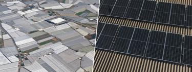 Almería ha sido durante años el gran "mar de plástico" de Europa. Ahora quiere ser otro mar: el de paneles solares