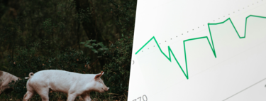 Hay gente comprando tierras, granjas y explotaciones de porcino en España. Y esa gente son fondos de inversión