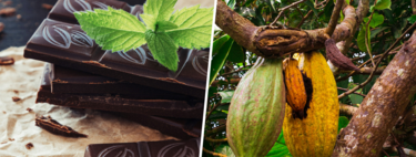 El precio del chocolate amenaza con subir tanto que los expertos ya se plantean medidas extremas: no desperdiciar nada