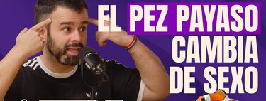 Placer, homosexualidad y ETS en el reino animal. Un especialista desmonta mitos sobre cómo funciona el sexo fuera de nuestra especie 