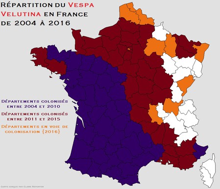 Repartition Du Frelon Asiatique En France De 2004 A 2016