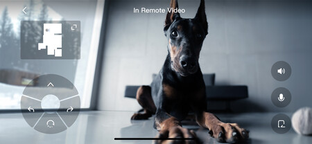 Remote Video Call Ui En