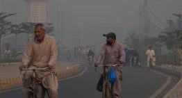 Más de 500.000 muertos al año por calor: el negacionismo y la inacción climática amenazan la vida de millones de personas Más de 500.000 muertos al año por calor: el negacionismo y la inacción climática amenazan la vida de millones de personas