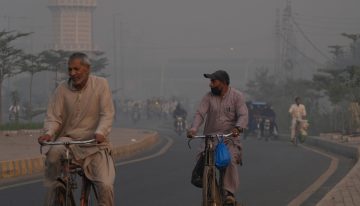 Más de 500.000 muertos al año por calor: el negacionismo y la inacción climática amenazan la vida de millones de personas