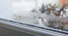 Ni abrir las ventanas ni usar recipientes con sal gruesa: este aparato elimina el exceso de humedad en casa eficientemente Ni abrir las ventanas ni usar recipientes con sal gruesa: este aparato elimina el exceso de humedad en casa eficientemente