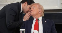 Israel y Hamás alcanzan un acuerdo sobre la primera fase del plan de paz de Trump para Gaza