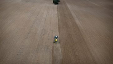 La dieta saludable para el planeta que evitaría 15 millones de muertes prematuras al año