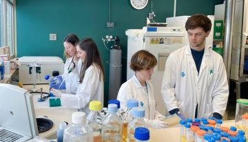 Una vacuna de Can Ruti potencia la respuesta inmunitaria en cáncer de vejiga no invasivo, según un estudio
