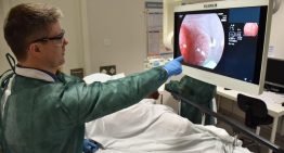 El cáncer de colon en varones de 20 a 29 años aumenta un 14% al año en España El cáncer de colon en varones de 20 a 29 años aumenta un 14% al año en España