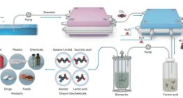 Científicos crean un sistema para convertir CO del mar en plásticos biodegradables