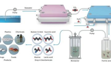 Científicos crean un sistema para convertir CO del mar en plásticos biodegradables