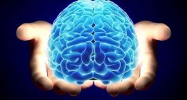 Así es como la exposición al plomo ha cambiado el comportamiento social y las capacidades cognitivas de los humanos