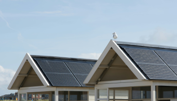 Tres horas de luz gratis al día: la idea de Australia para sobrevivir a su propio éxito solar