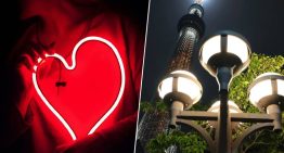 Vivir en una ciudad tiene un problema más allá del ruido: la luz de sus farolas y los carteles