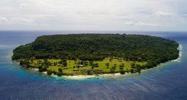 50.000 personas pagaron 120.000 euros para vivir en una criptoisla paradisíaca. Ahora está a punto de desaparecer bajo el Pacífico