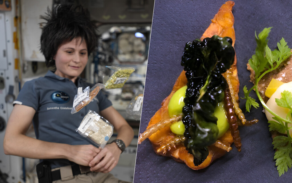 Los insectos llevan décadas viajando al espacio. Ahora la ESA estudia ponerlos en el plato de los astronautas