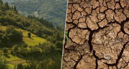 El pasado mes de octubre ha sido el segundo más seco en los últimos 100 años. Y la peor parte se la ha llevado Asturias