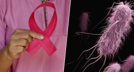 Llevamos 150 años creyendo que las bacterias son un arma contra los tumores. Y al fin hemos descubierto cómo