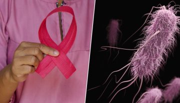 Llevamos 150 años creyendo que las bacterias son un arma contra los tumores. Y al fin hemos descubierto cómo