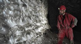 Hemos descubierto una megaciudad de arañas: una telaraña de 100 metros cuadrados donde dos especies enemigas viven en paz