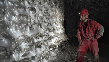 Hemos descubierto una megaciudad de arañas: una telaraña de 100 metros cuadrados donde dos especies enemigas viven en paz