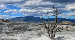 Un matemático ha echado cuentas y ha llegado a una conclusión: la vida no debería existir