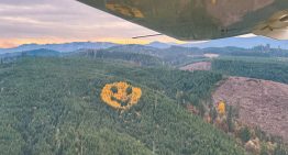 En Oregón hay un bosque con un tatuaje que aparece cada otoño: un emoji gigante