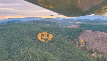 En Oregón hay un bosque con un tatuaje que aparece cada otoño: un emoji gigante