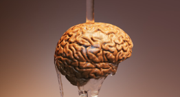 El psiquiatra que metió el Universo en una cáscara de nuez: cómo los hemisferios cerebrales conformaron el mundo occidental